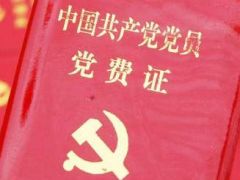 2020年黨費收費標(biāo)準(zhǔn)及關(guān)于黨費收繳、使用和管理的規(guī)定